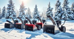 top snow blowers 2025