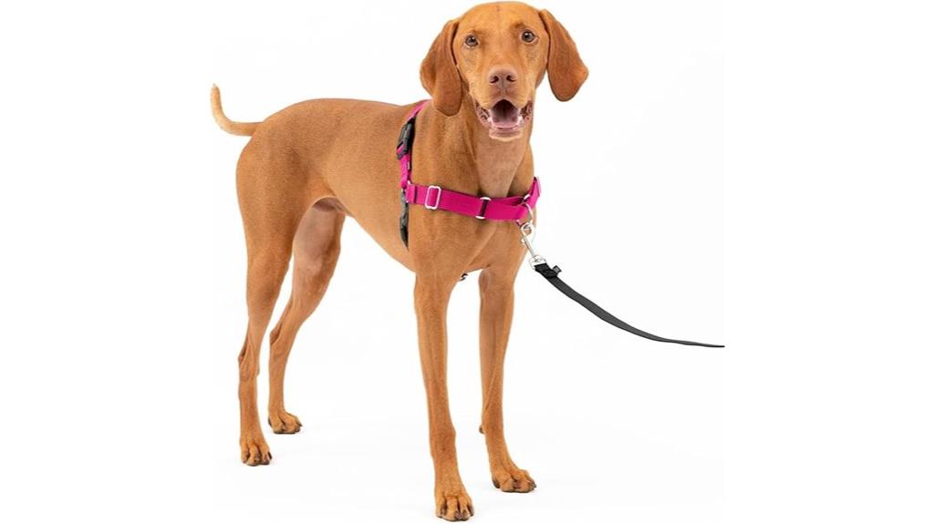 adjustable breathable dog harness