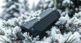 cold weather rechargeable batteries