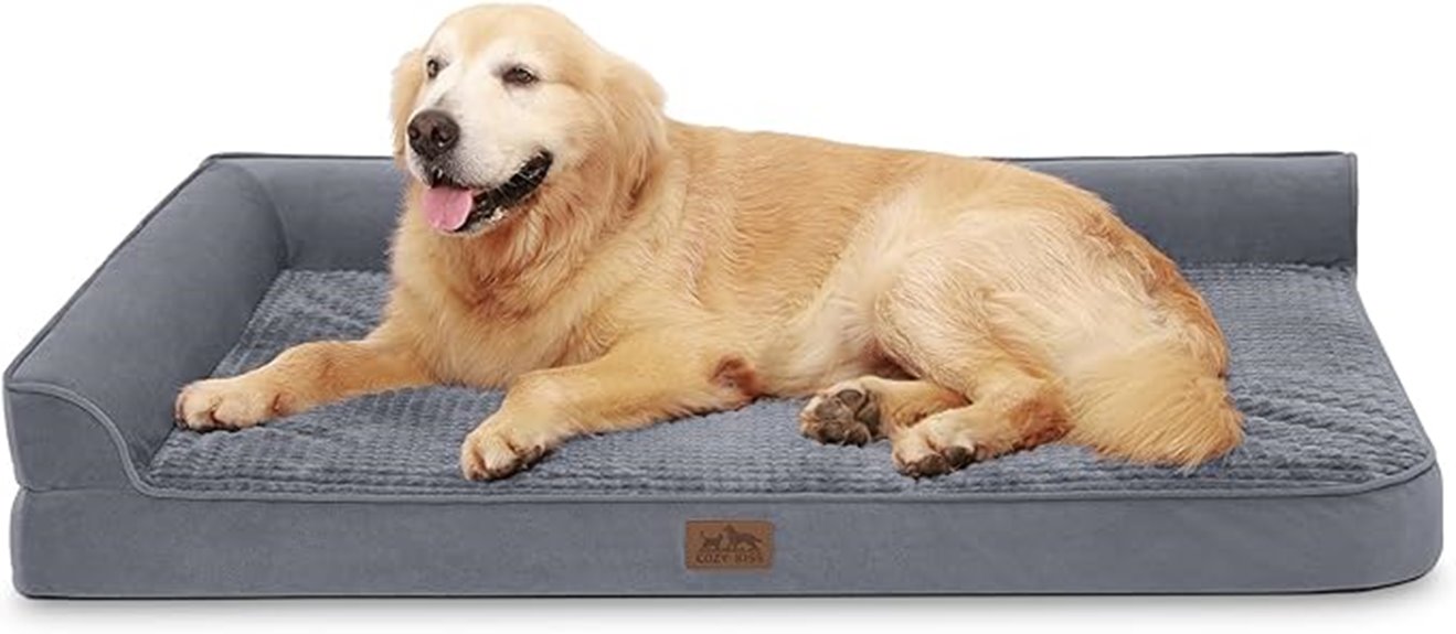 extra large orthopedic bed