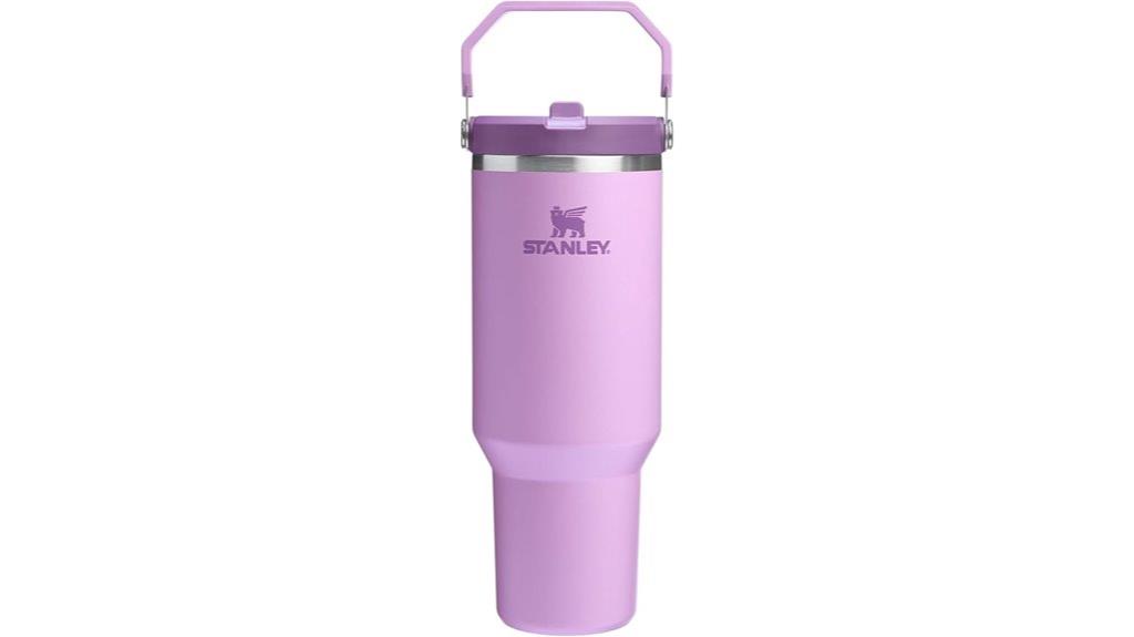 insulated tumbler with handle