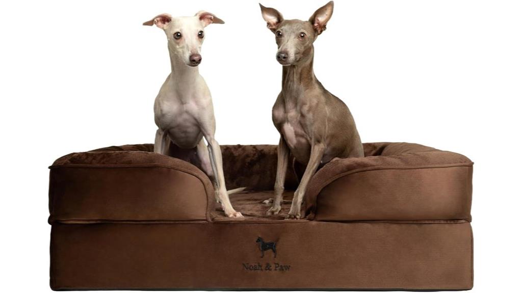 large orthopedic dog bed