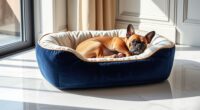 luxury dog beds 2025