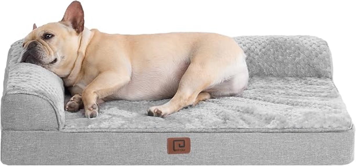 memory foam medium dog bed
