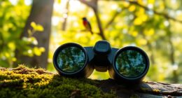 premium bird watching binoculars