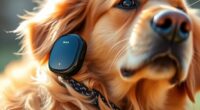 top lte pet location devices