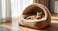 top orthopedic cat beds