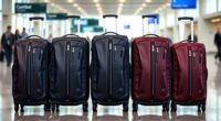 top travel garment bags