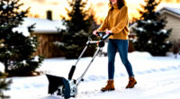 10 Best Cordless Snow Blower for Driveways in 2026