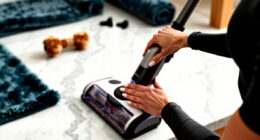 12 Best Carpet Cleaner For Pets And Spills In 2026