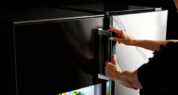 12 Best Upright Freezer Frost Free in 2026