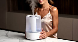 13 Best Humidifier For Large Room In 2026