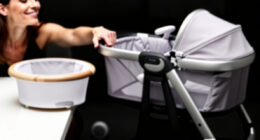 13 Best Playard With Bassinet in 2026