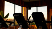 14 Best Premium Recumbent Bike in 2026