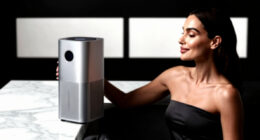 6 Best Portable Room Air Purifier in 2026