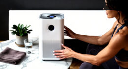 7 Best Whole Room Air Purifier in 2026