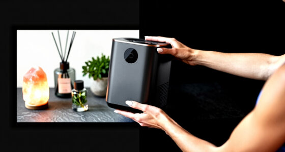 8 Best Dehumidifiers for Basements in 2026