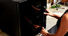 9 Best Wine Coolers for Kitchens in 2026