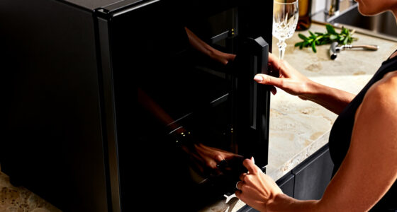 9 Best Wine Coolers for Kitchens in 2026