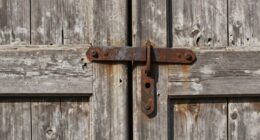 identifying manipulation masked as weakness