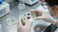 Louisiana Vibrio Vulnificus Outbreak
